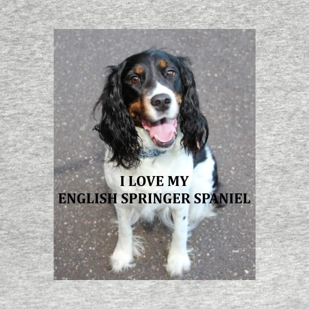 english springer spaniel black white tan love with picture by Wanderingangel